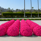 Classic Hot Pink Rose Flower Wall Backdrop - 240