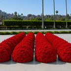 Classic Red Rose Hydrangea Flower Wall & Backdrops | 002