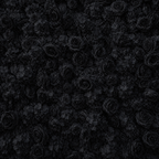Classic Black Rose Flower Wall - 319