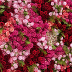 Red, Pink and Greenery Vine Premium Flower Wall - 256