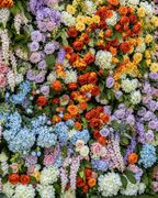 Dripping Rainbow Floral Pastels Premium Wild Flower Wall Backdrop - 328