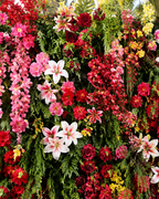Pink, Red and Dripping Greenery Premium Artificial Flower Wall Backdrops - 347
