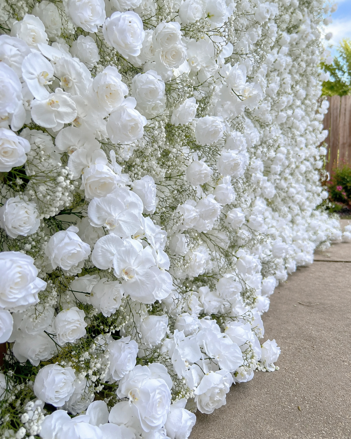 Baby's Breath White Rose Flower Wall - 060
