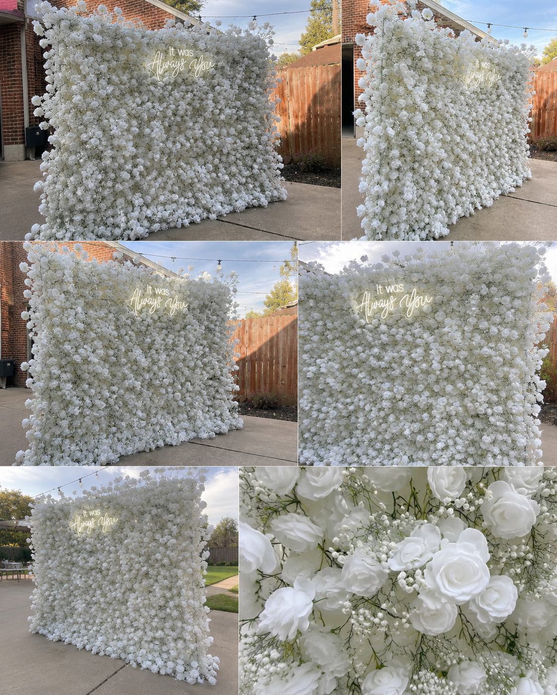 Baby's Breath White Rose Flower Wall - 060