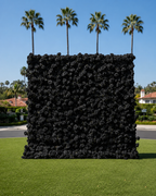 Deluxe Black Wild Rose Flower Wall - 024