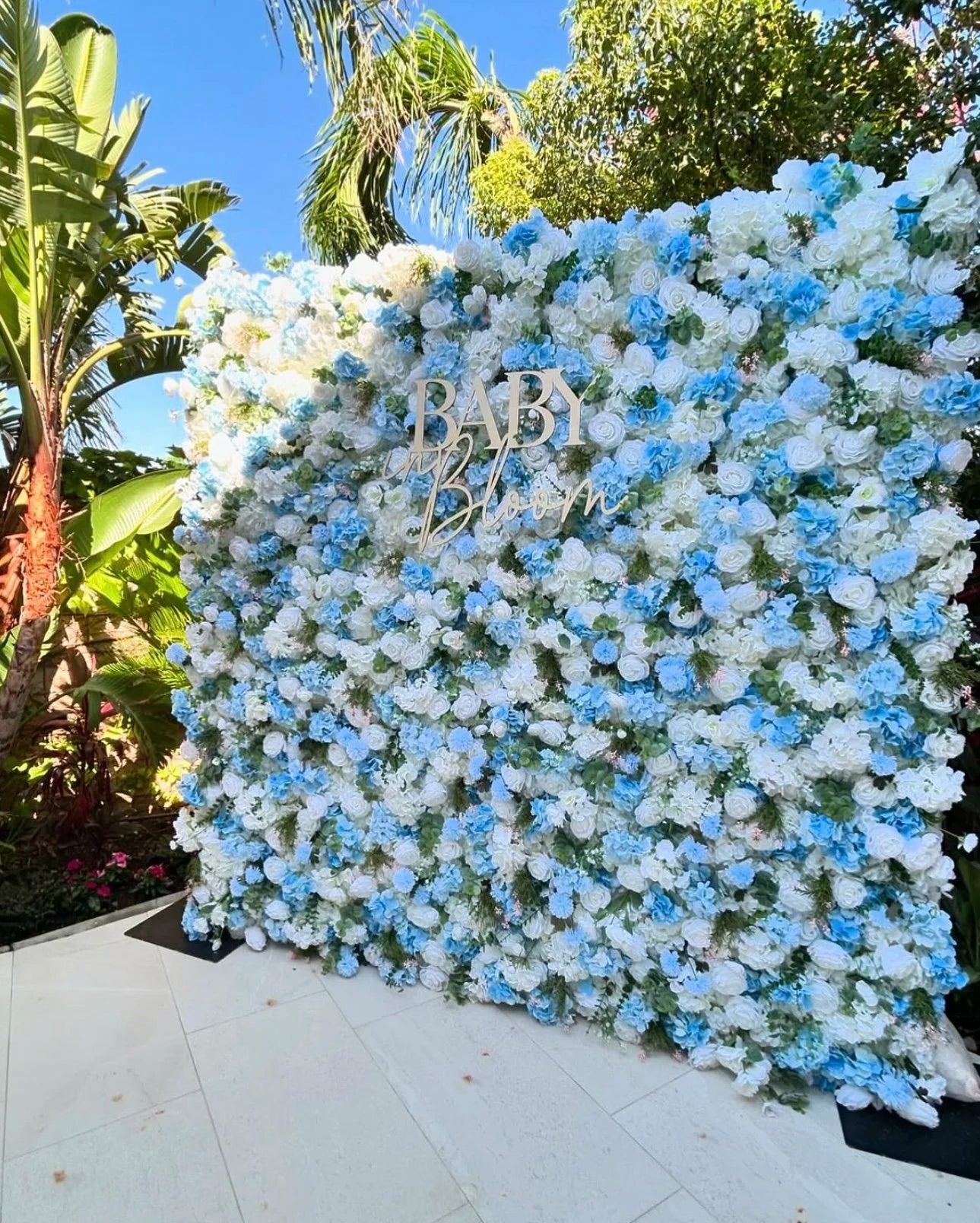 White & Blue Wild Rose Premium Flower Wall - 034