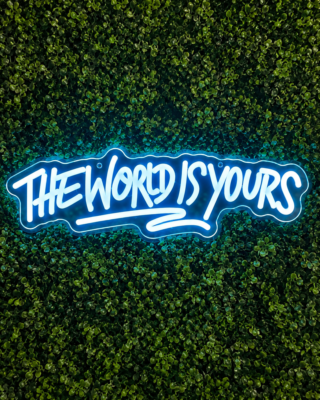 THE WORLD IS YOURS NEON SIGN
