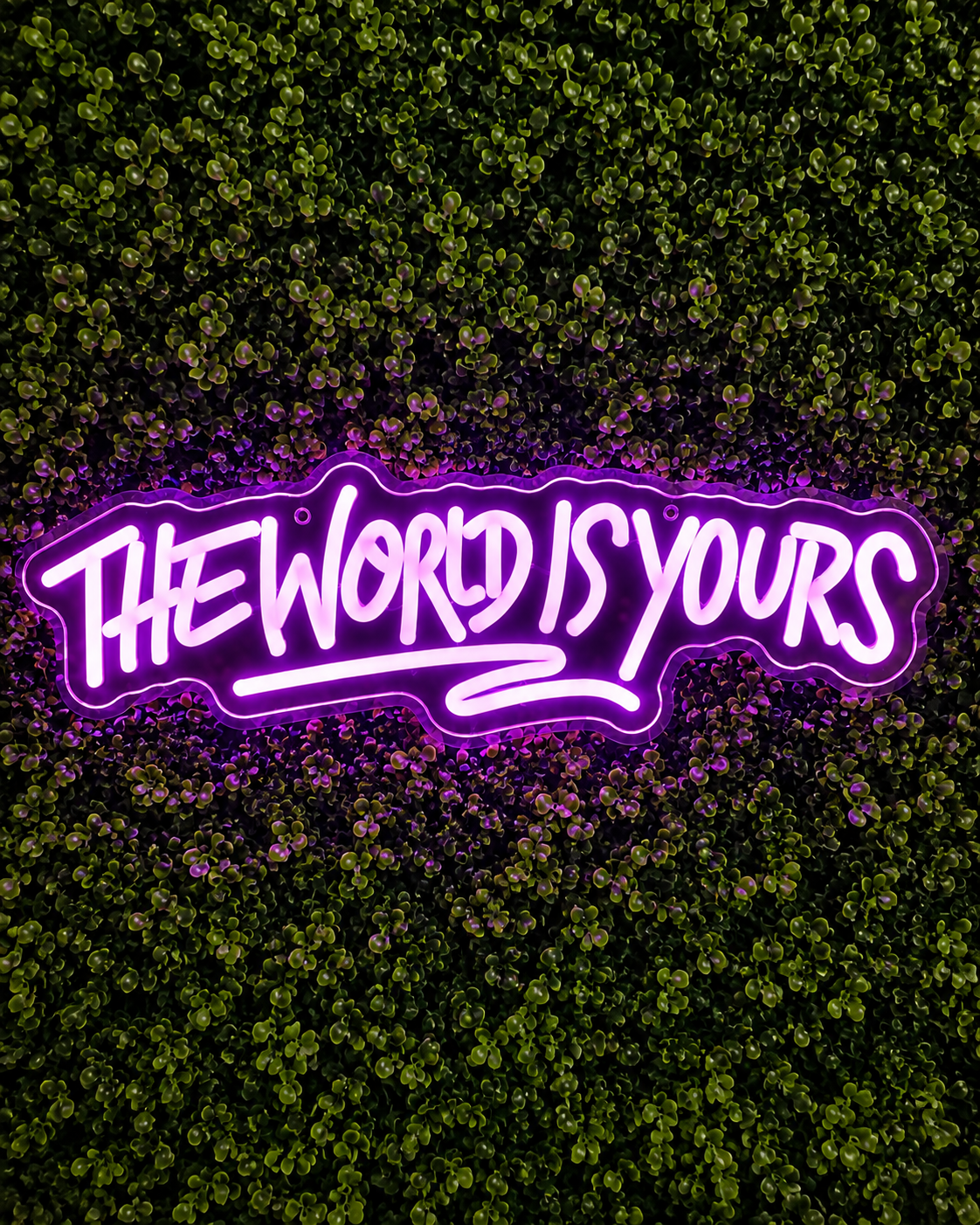THE WORLD IS YOURS NEON SIGN