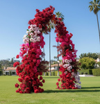 Red and Pink 2 Piece Premium Flower Horn Arch Set - 4602