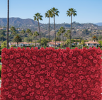 Classic Red Rose Flower Wall - 002