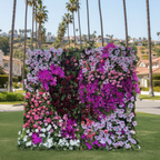 Dripping Fuscia, White and Pink Premium Flower Wall - 038