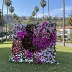 Dripping Fuscia, White and Pink Premium Flower Wall - 038