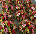 Pink, Red and Dripping Greenery Premium Artificial Flower Ball Centerpiece - 1085