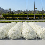 Classic White Rose Hydrangea Flower Backdrops | 001