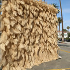 Tan Feather Wall - 072