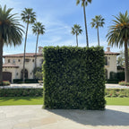 Deluxe Hedge Greenery Wall - 501