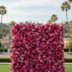 Light & Dark Pink Wild Rose Premium Flower Wall - 217