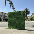 California Hedge Greenery Wall - 504