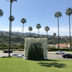 Dripping White Rose Premium Greenery Flower Wall - 533