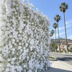 Baby's Breath White Rose Flower Wall - 060