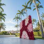 Pink & Red Cream Premium Rose Flower Wall - 106