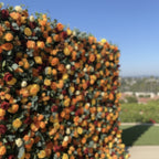 Orange & Yellow Premium Greenery Flower Wall - 160