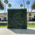 Deluxe Hedge Greenery Wall - 501