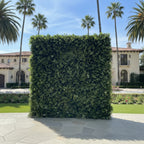 Deluxe Hedge Greenery Wall - 501