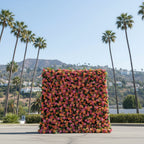 Orange and Hot Pink Deluxe Wild Rose Premium Flower Wall - 181