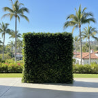 Deluxe Hedge Greenery Wall - 501
