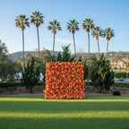 All Orange Premium Wild Rose Flower Wall - 195