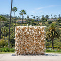 Pampas Tan and Cream Wild Rose Premium Wall - 082B