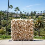 Pampas Tan and Cream Wild Rose Premium Wall - 082B