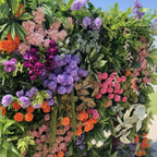 Purple, Pink and Orange Greenery Premium Deluxe Flower Wall - 231