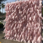 Light Pink Feather Wall - 075