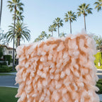 Peach Feather Wall - 076