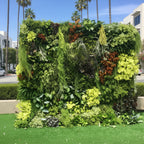 Botanical Dream Premium Greenery Flower Wall - 507