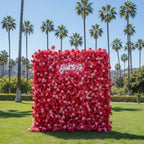 Light Pink & Hot Pink Wild Rose Premium Flower Wall - 019