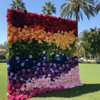 Rainbow Rose Premium Flower Wall - 100