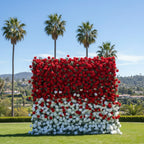 Red & White Premium Ombre Flower Wall - 113