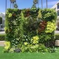 Botanical Dream Premium Greenery Flower Wall - 507