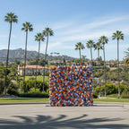 Orange, White & Blue Rose Premium Flower Wall - 155