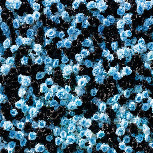 Baby Blue and Black Wild Rose Premium Flower Wall Backdrop - 377